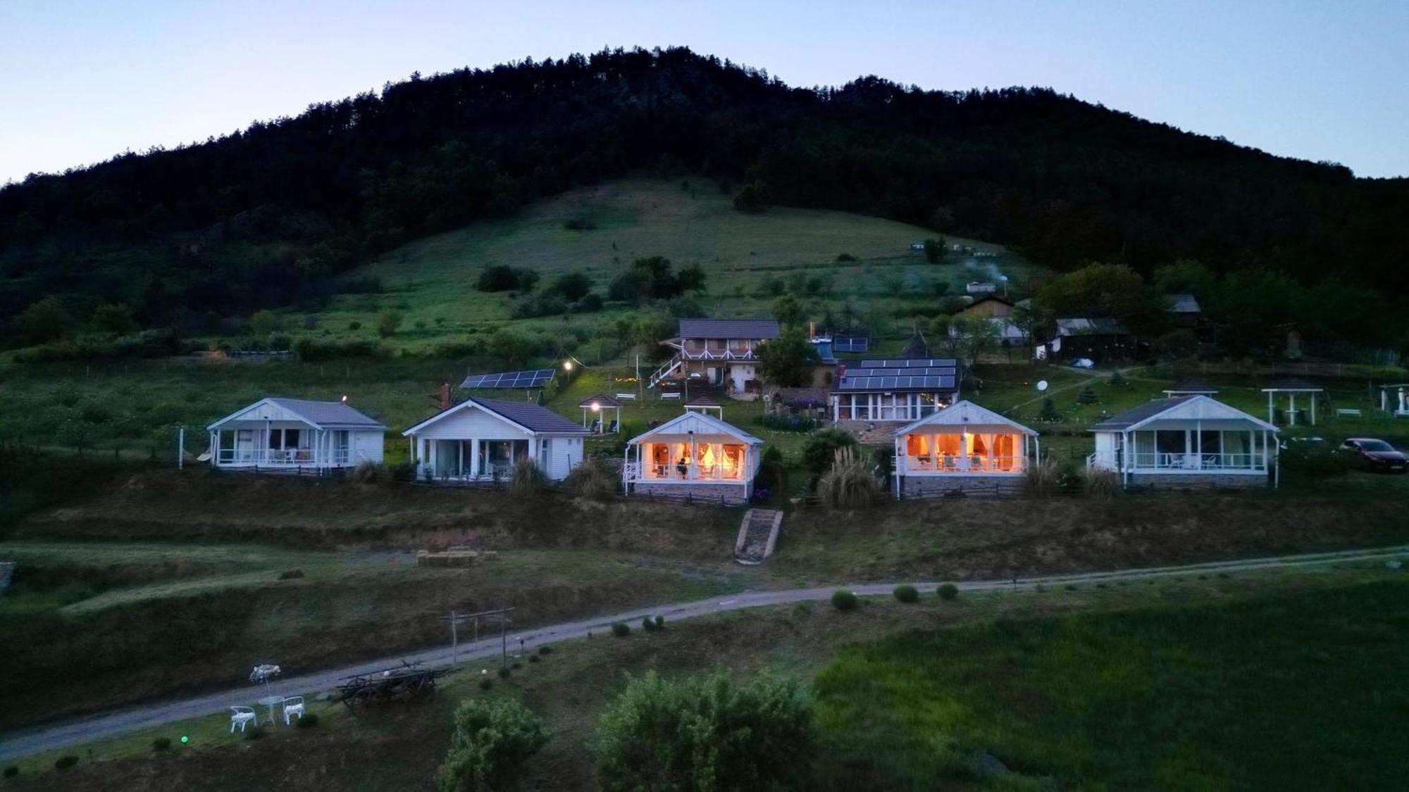 Villa Dream Tricule Svinita Esterno foto