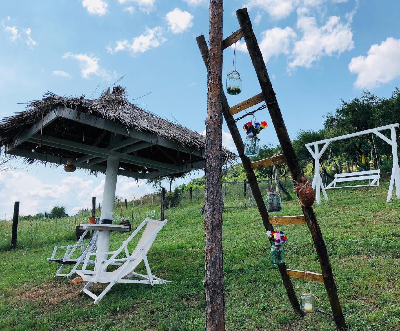 Villa Dream Tricule Svinita Esterno foto