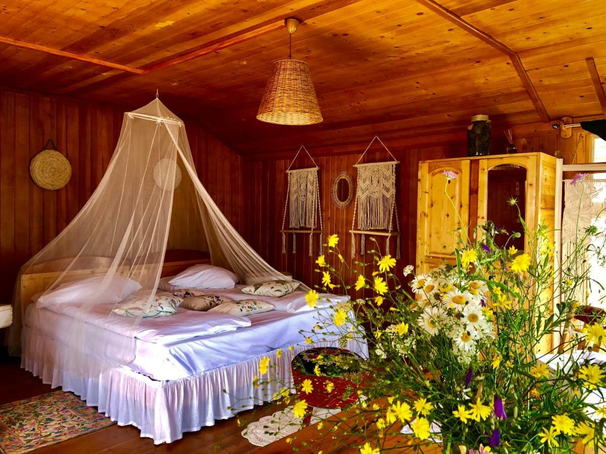 Villa Dream Tricule Svinita Esterno foto